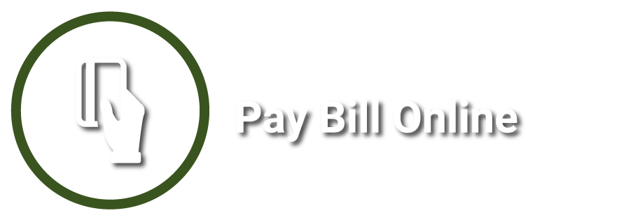 coweta emc bill pay