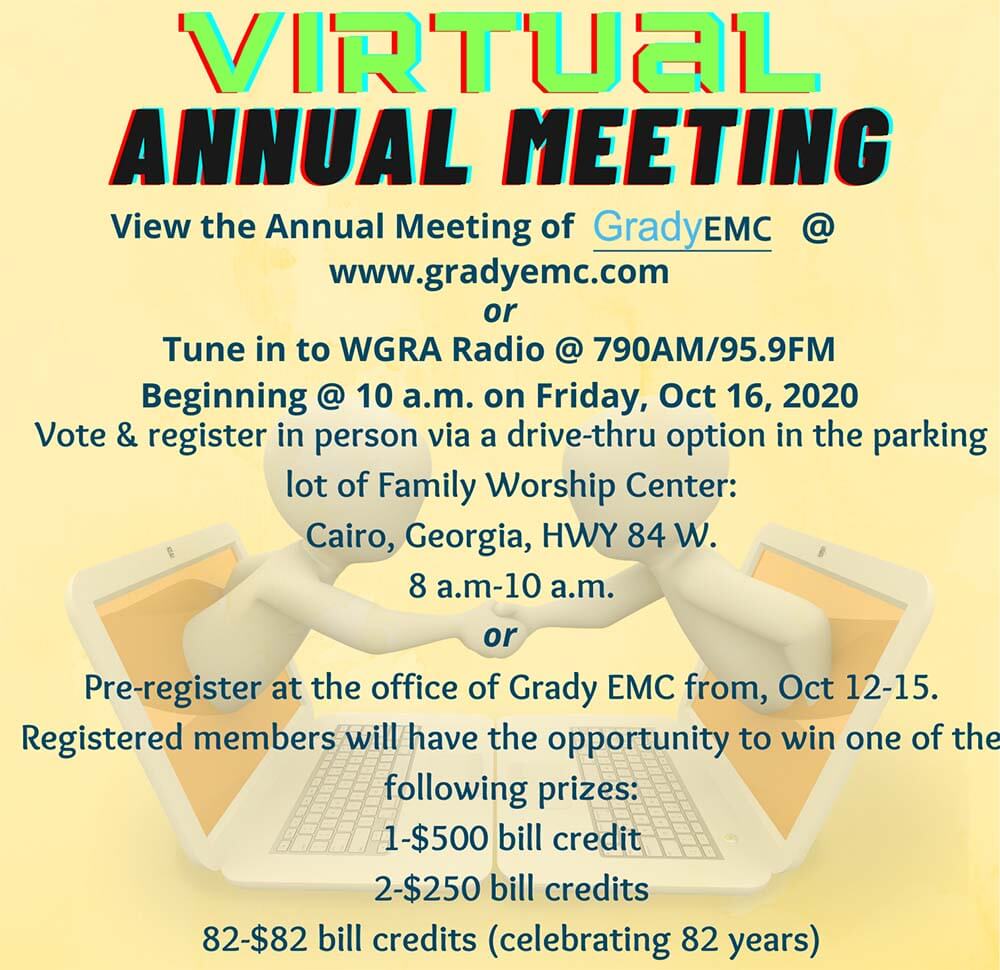 Virtual Annual Meeting